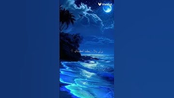 دقيقه من وقتك استمع للقران الكريم 🫶