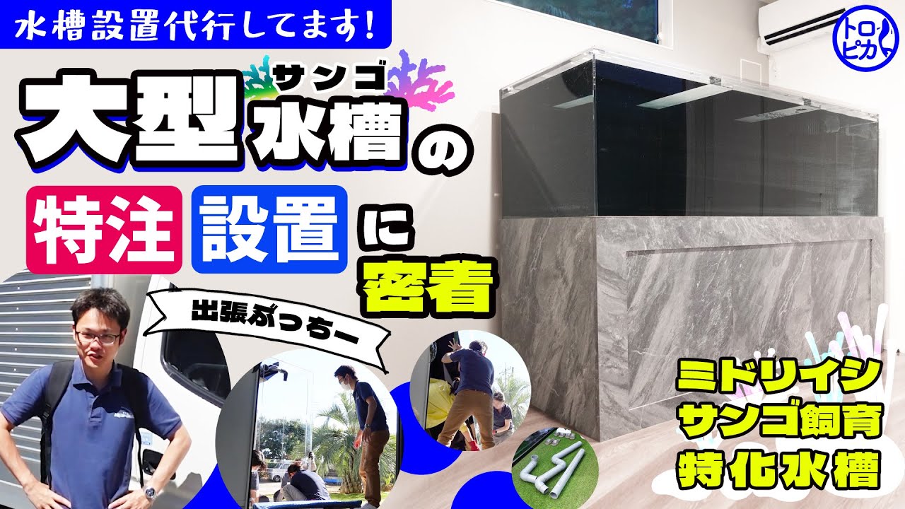 デカすぎる】2m特注サンゴ水槽設置!その時ぶっちーは…!?【豪邸 デカすぎる】2m特注サンゴ水槽設置!その時ぶっちーは…!?【豪邸