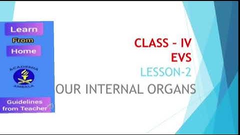 CLASS IV / EVS / LESSON-2  OUR INTERNAL ORGANS ( MODULE- 1)