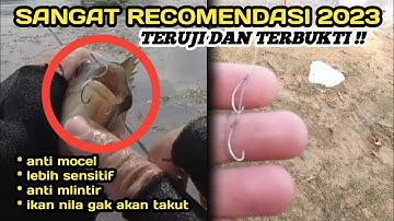 LANGSUNG TEST‼️TERNYATA INI RANGKAIAN LUMUT 2 KAIL ANTI MOCEL