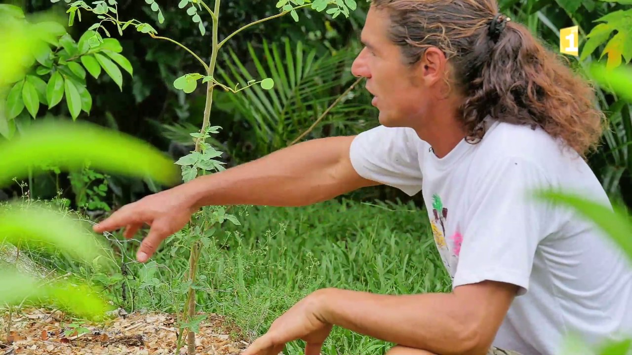 Ma terre pour demain Saison 2/4 : Anthony Chitty