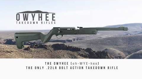 Cover Image for The OWYHEE (oh-WYE-hee) TAKEDOWN BOLT ACTION .22 RIFLE