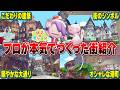 【島紹介】ハーフティンバーで統一された街並みが凄すぎる!ポケモンたちの暮らしに密着しました!【ぽこあポケモン】