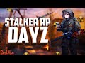 ☢DayZ S.T.A.L.K.E.R. RP | DarkWay | Жизнь после глобального выброса☢