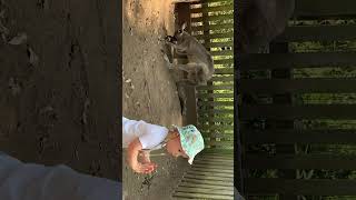 IMG 9839