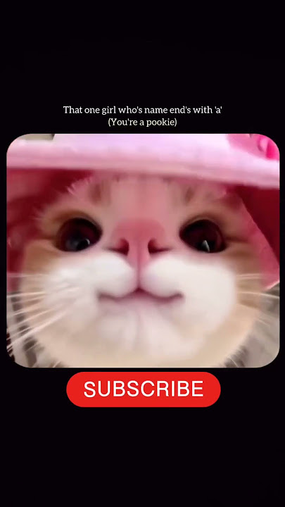 Pretty little baby❤️ #cute #funnyshorts #cutecat #animals #shorts #ytshorts #viralshorts #viralsong