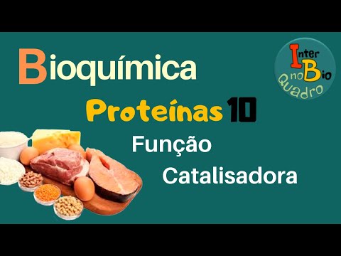 Vídeo: O que é um catalisador de proteína?