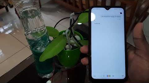 Google Assistant integrated drip irrigation project using NodeMCU, Blynk, and IFTTT | Arduino IDE