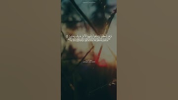 سورة الحجر الآية ٢ - ٣ القارئ هزاع البلوشي
