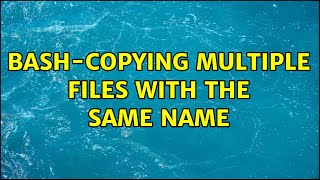 bash-copying multiple files with the same name