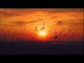 Soothingly Soft Nighttime Nature Sounds To Help You Sleep – Relaxing Night Ambience For Sleeping 10