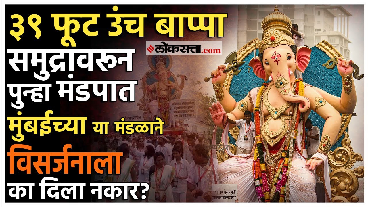 मुंबईत 'या' गणपतीचं विसर्जन होणार नाहीच! ३९ फूट उंच 'बाप्पा राजा' ची मूर्ती मंडपात परतली, कारण काय?