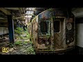 人類が消えたニューヨーク…誰もいない大都市/ New York After Humanity – A City with No One Left