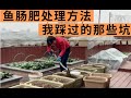 养花种菜最喜欢鱼肠肥 高磷高钾肥效好 制作方法一定要注意 养花种菜最喜欢鱼肠肥 高磷高钾肥效好 制作方法一定要注意