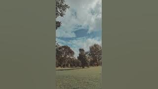 Oceans | Tigers in the sky (cover)