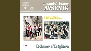 Video thumbnail of "Ansambel bratov Avsenik - Na menini planini"