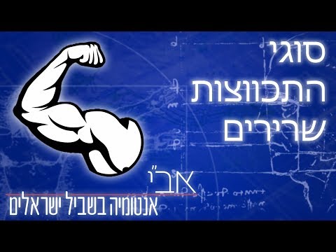 וִידֵאוֹ: מהי פעילות גופנית איזומטרית?