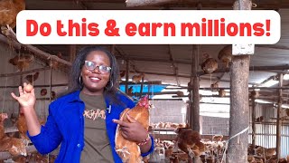 What you can do to become successful in poultry farming and earn millions of money .