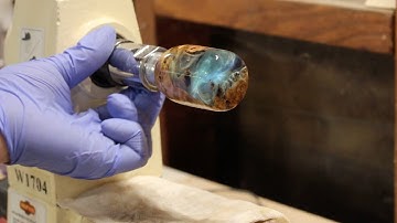 Hybrid Burl Bottle Stopper?!