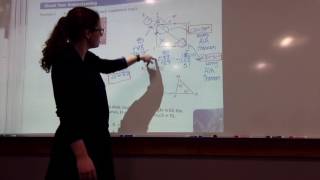 Congruent Triangles, Coordinate Proofs, and Angles of Triangles