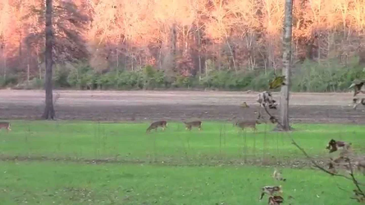 Mississippi Deer Hunt 2014