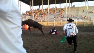 Rice County Fair bull riding