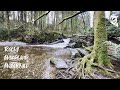 💧🌲 Rocky Woodland Waterfall (2 Hours) - Instantly Calm, Relax & Sleep