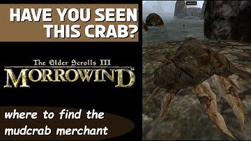 where to find the talking mudcrab merchant | 3 min guide (morrowind)
