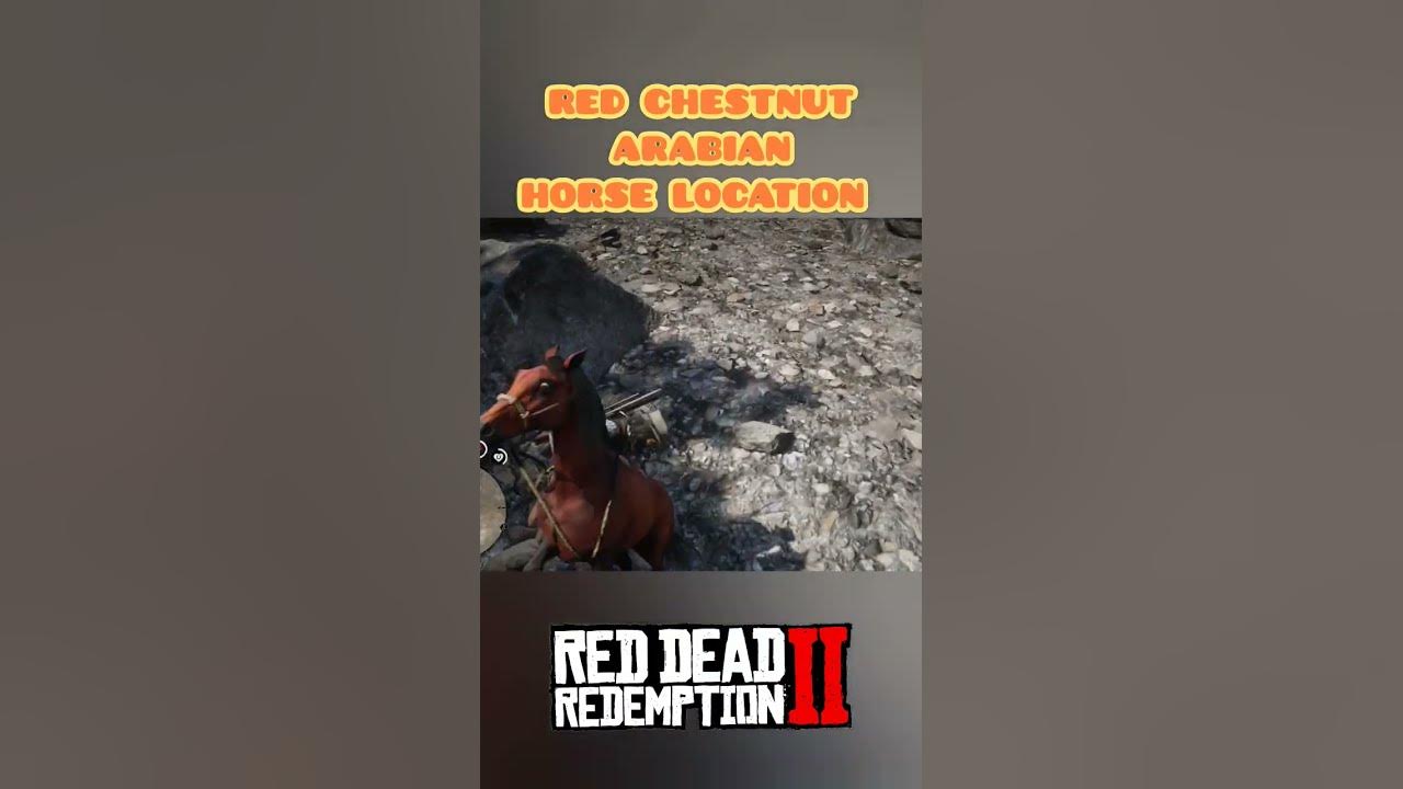Where To Find Red Arabian Horse Rdr2 HOW TO FIND & TAME RED CHESTNUT ARABIAN HORSE RDR2! LOCATION | 4K