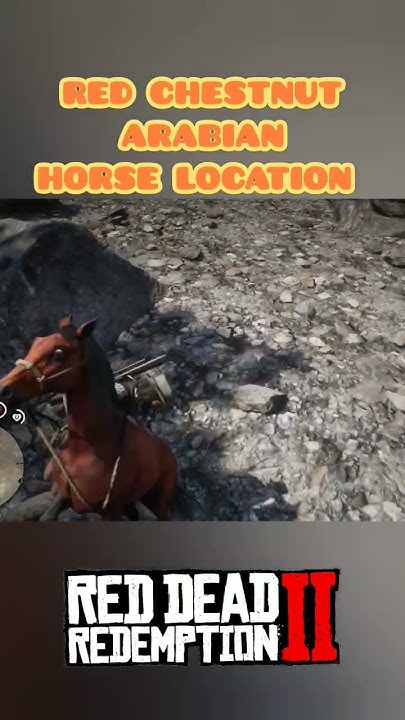 Where To Find Red Arabian Horse Rdr2 HOW TO FIND & TAME RED CHESTNUT ARABIAN HORSE RDR2! LOCATION | 4K