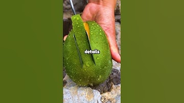 Mijn Netflix-algoritme blijft series aanbevelen waarin ik de hoofdrol speel en die ik nog nooit h...