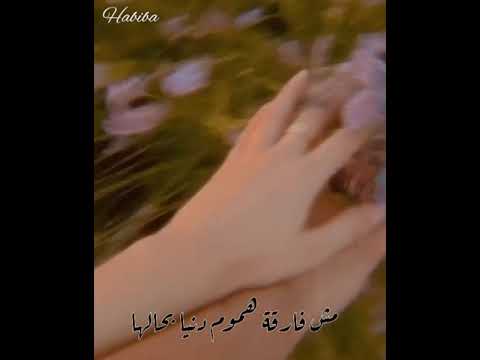 محمد الشرنوبي نستني قوام حالات واتس اب 2020