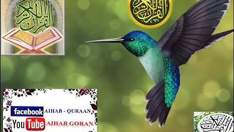 096 - سورة العلق - إبراهيم الجبرين