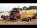 🇨🇵CASE AXIAL -FLOW 7240/BLÉ DUR 🌱/🚜ET 2 JOHN DEERE AUX BENNES