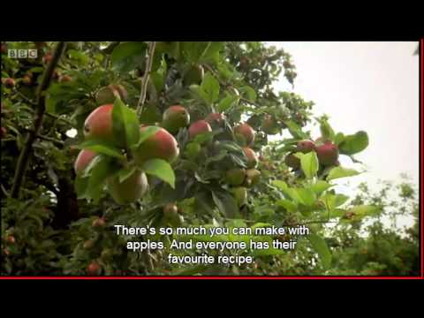 pork-chops-with-apples-and-cider-recipe