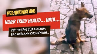 Her Wounds Had Never Truly Healed Until