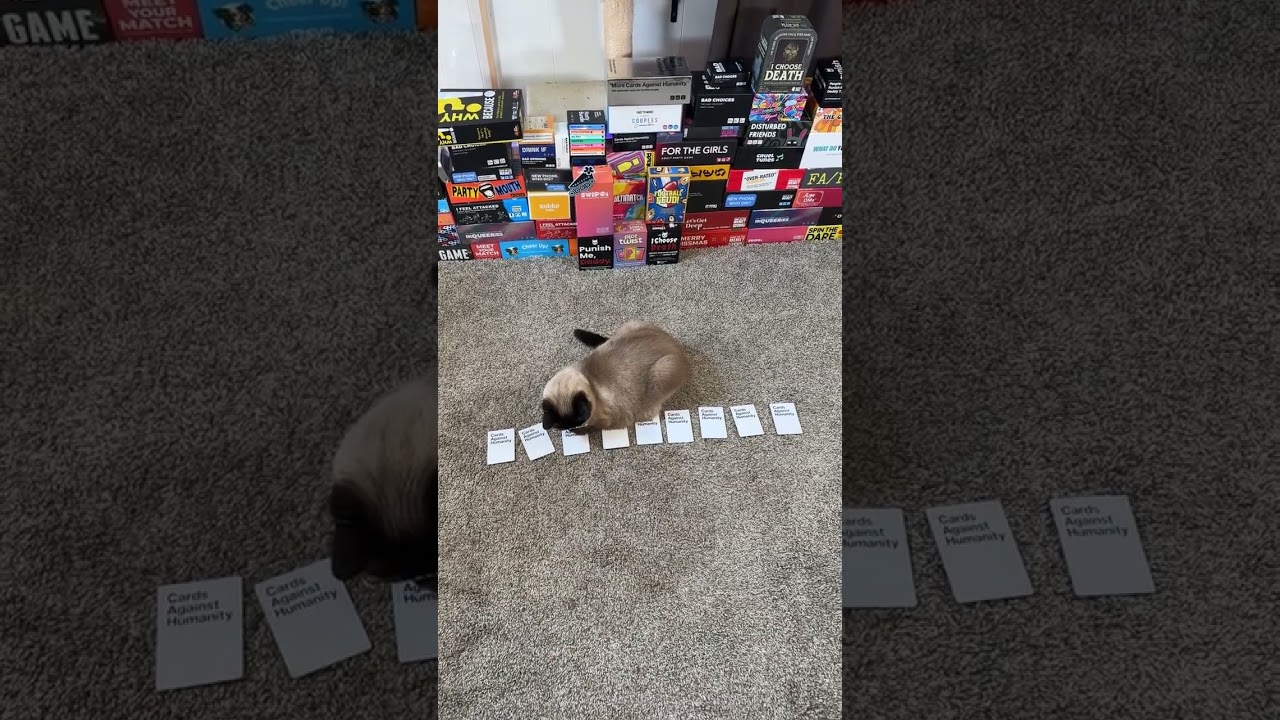 Cards Against Humanity