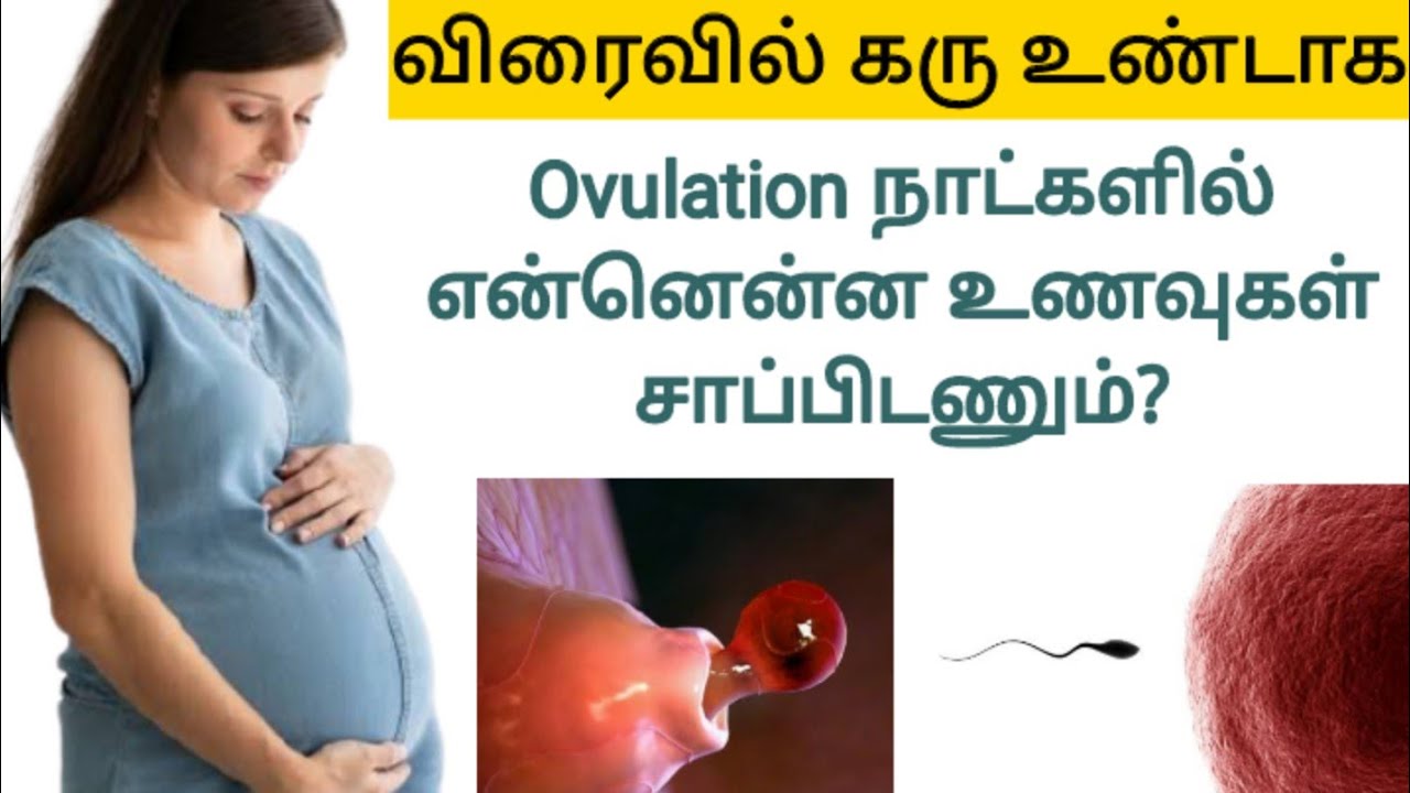 foods-to-eat-during-ovulation-week-in-tamil-after-before-ovulation-to
