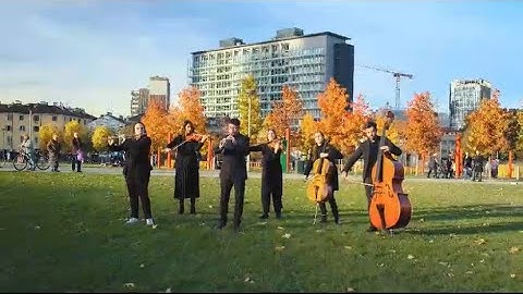 DinaMIche Ensemble - Official Video Trailer