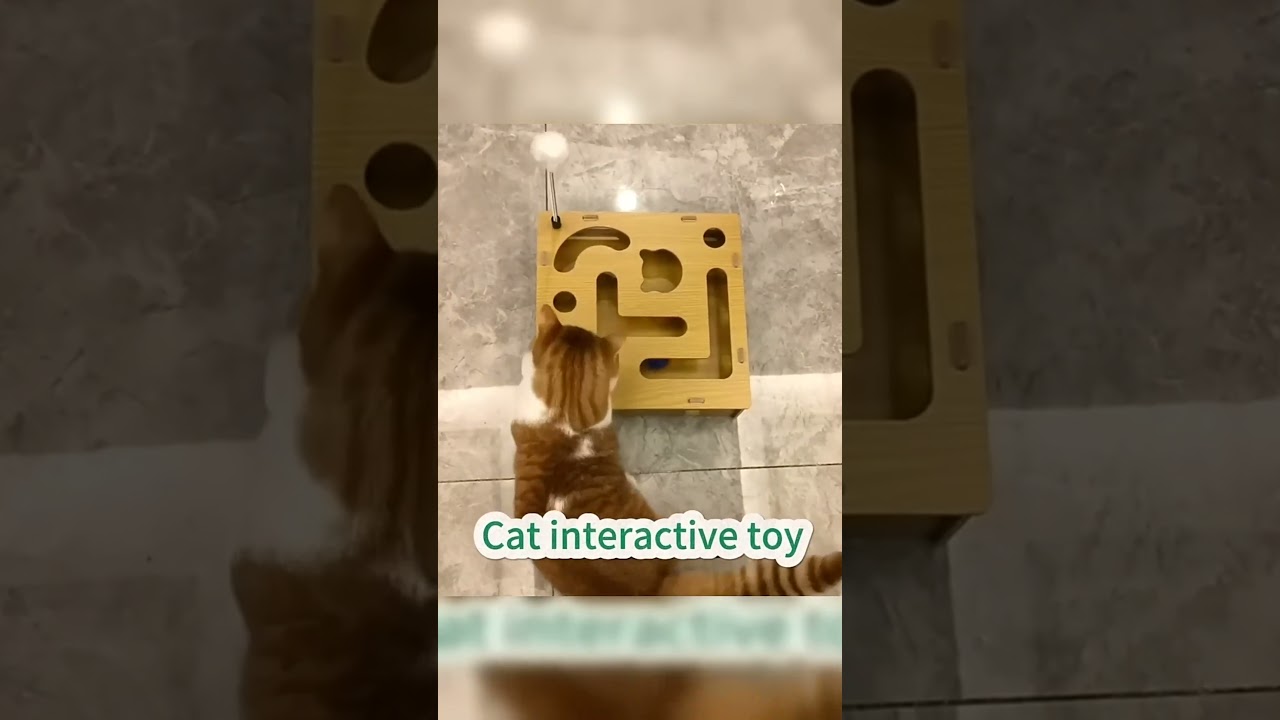 Budget-Friendly Pet Products That Actually Work 💰   🔗Link is in  Bio 🦎   