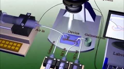 PDMS Based Coplanar Microfluidic Channels for the Surface Reduction of oxidized Galinstan