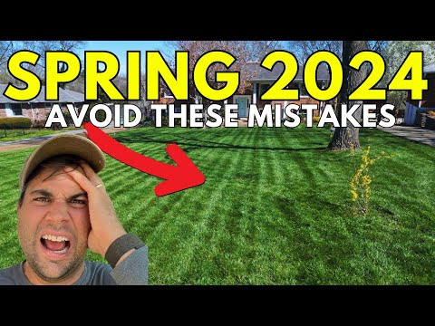 Do this before Easter: Spring Lawn Care