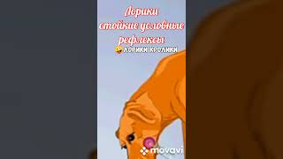 Лорики условные рефлексы