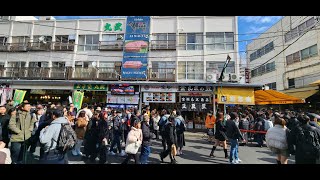 Japan Trip 2024 Part 6: Tsukiji Market and Ginza