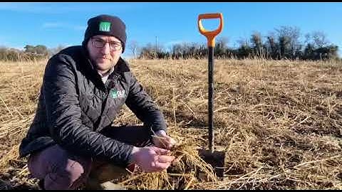 Cover Crops field visit January with Ned Kehoe