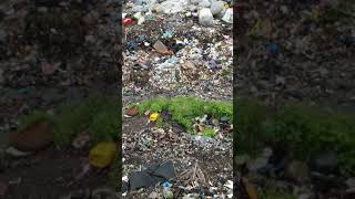 Geobag Technology