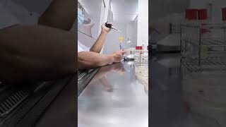 Agar well diffusion assay - 29 May 2021