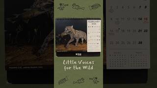 Vidyashilp Caption Contest X Felis 2026 Wild Cats of the World Calendar @FelisCreationsTV