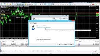 Live MEF Algosoftbot Robot Singel Order MT5