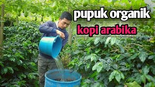 Pupuk Organik Cair  Aplikasi Kocor Untuk Tanaman Kopi Arabika
